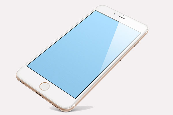 Mobile phone application case